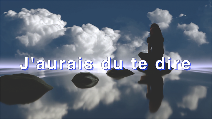 J'aurais du te dire